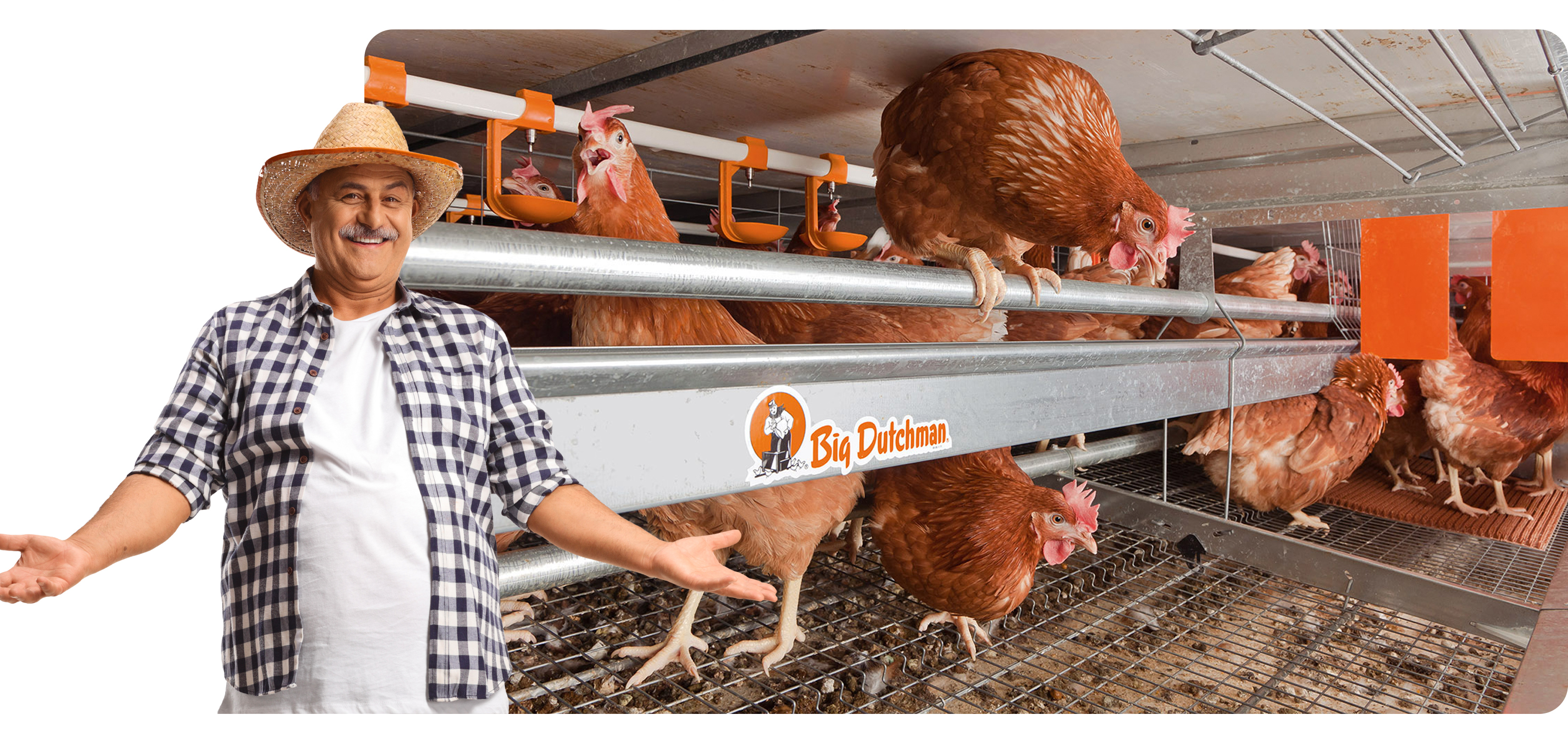 Etiqueta: BigFarmaNet