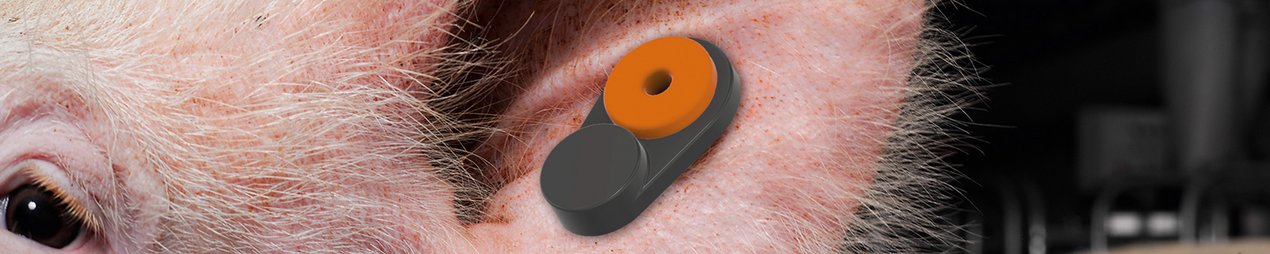 BioTag+