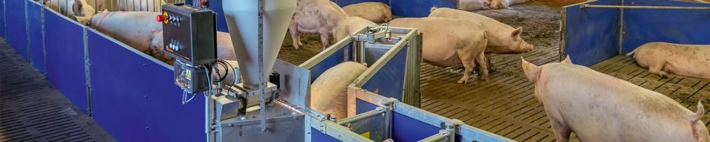 El sistema de alimentación a demanda adaptado a los animales CallMatic ofrece un abastecimiento individual y preciso para las cerdas
